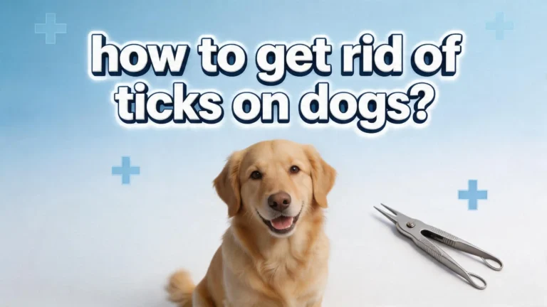 How to Get Rid of Ticks on Dogs?