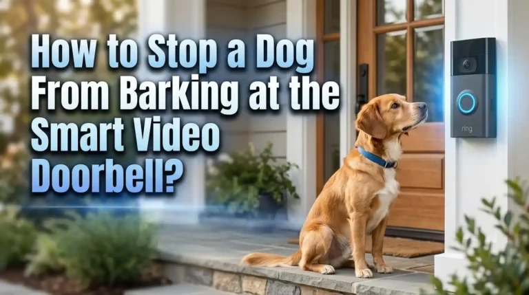 How to Stop a Dog From Barking at the Smart Video Doorbell?